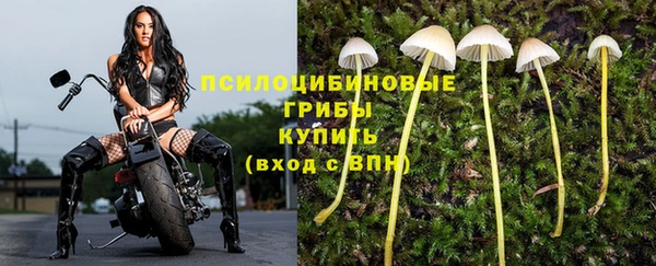 ешки Тында