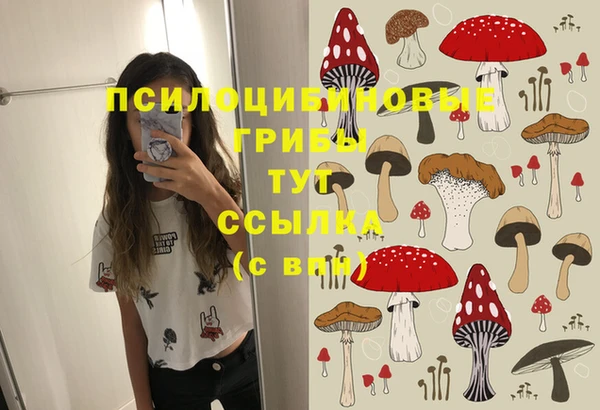 ешки Тында