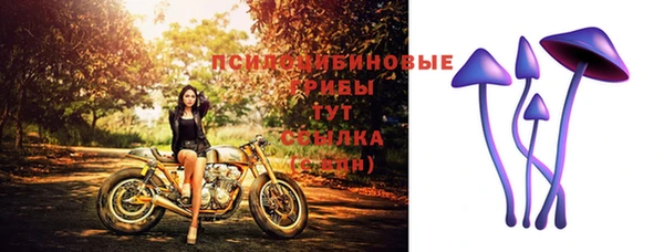 ешки Тында
