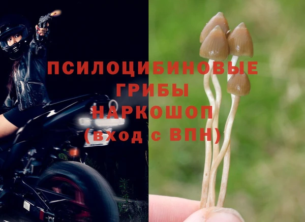 первитин Тобольск