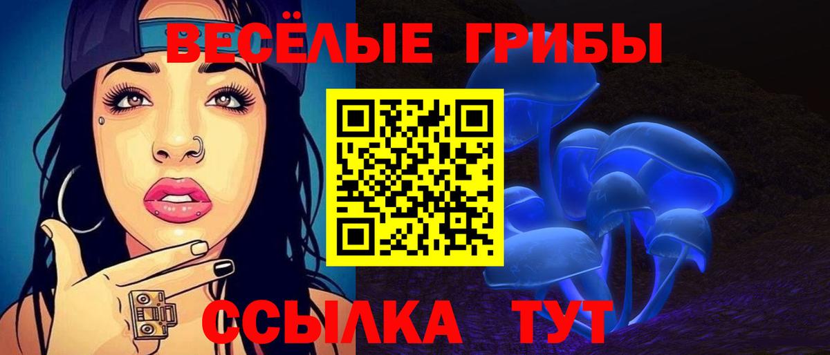 Галлюциногенные грибы Cubensis  Псилоцибиновые грибы Psilocybe  Вход с VPN  Невинномысск 